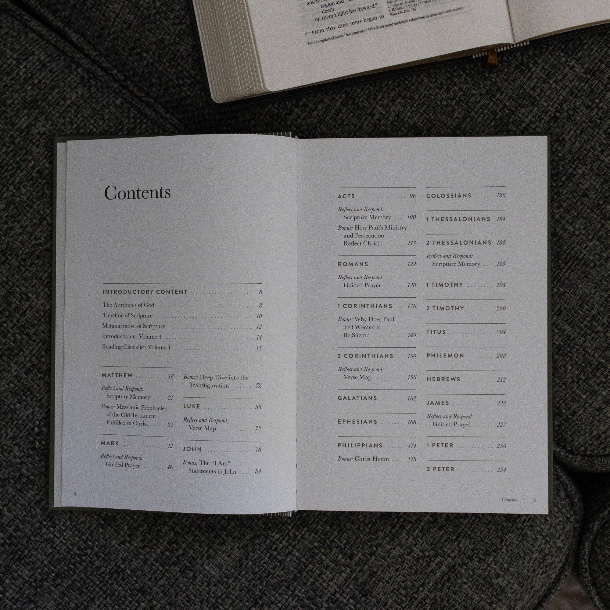 A Year in the Bible | Men's Study | 365 Days of Discovering the Beauty of Jesus from Genesis to Revelation | Volume 4